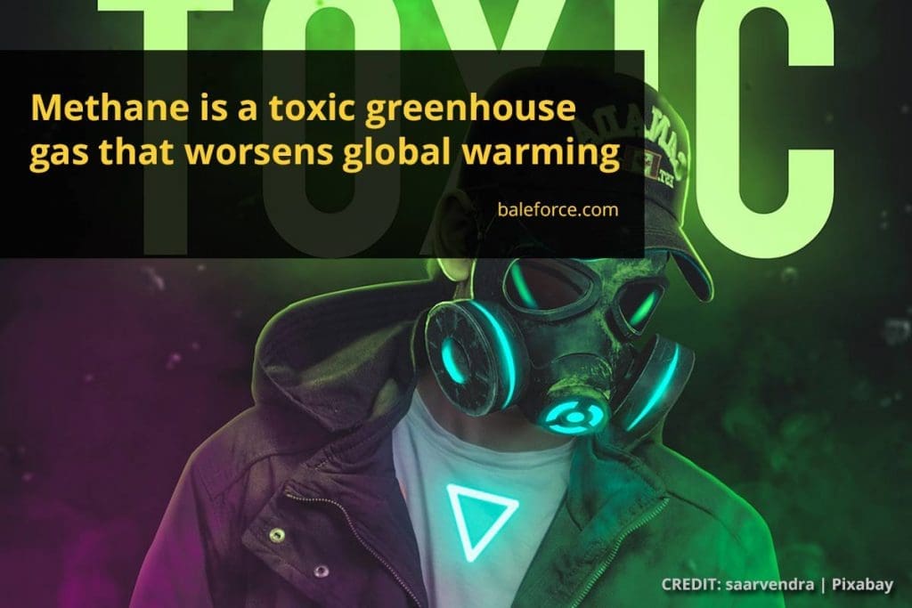 How Landfill Emissions Impact the Environment BaleForce Recycling